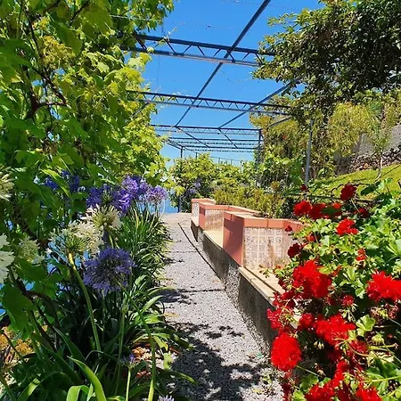 Appartamento Ocean View Madeira 3 - Ponta Do Sol Canhas