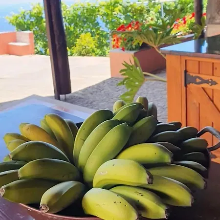 Ocean View Madeira 3 - Ponta Do Sol Appartement Canhas