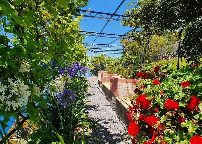 Apartmán Ocean View Madeira 3 - Ponta Do Sol Canhas