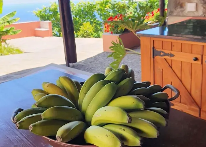 Ocean View Madeira 3 - Ponta Do Sol Apartmán Canhas