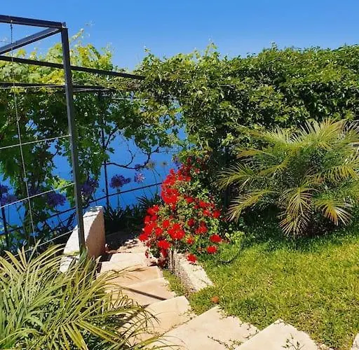 Ocean View Madeira 3 - Ponta Do Sol